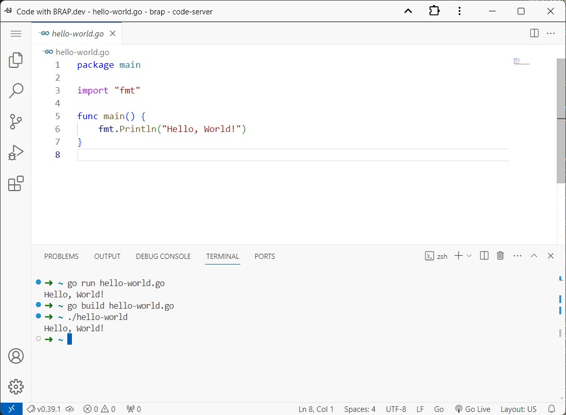 Go running in the VS Code terminal