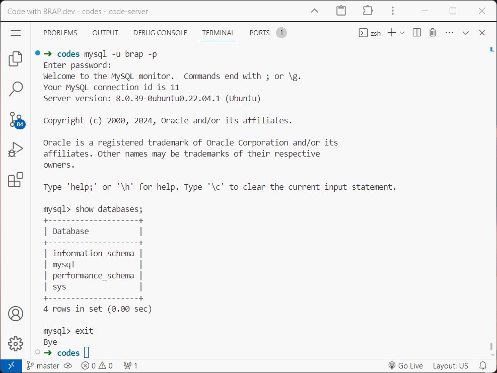 MariaDB and/or MySQL running in VS Code terminal