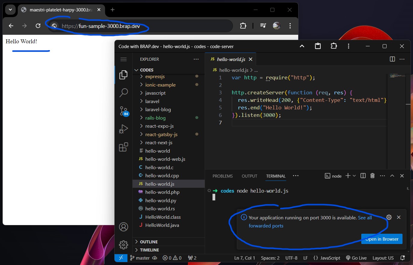 Node.js in VS Code terminal and web browser