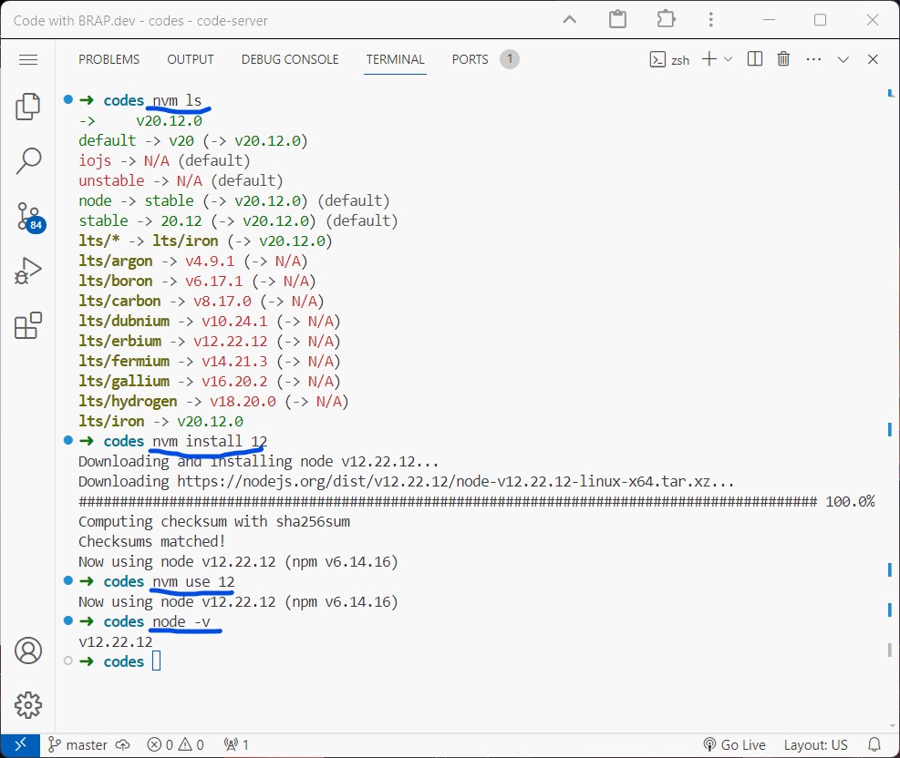 Node Version Manager in VS Code terminal