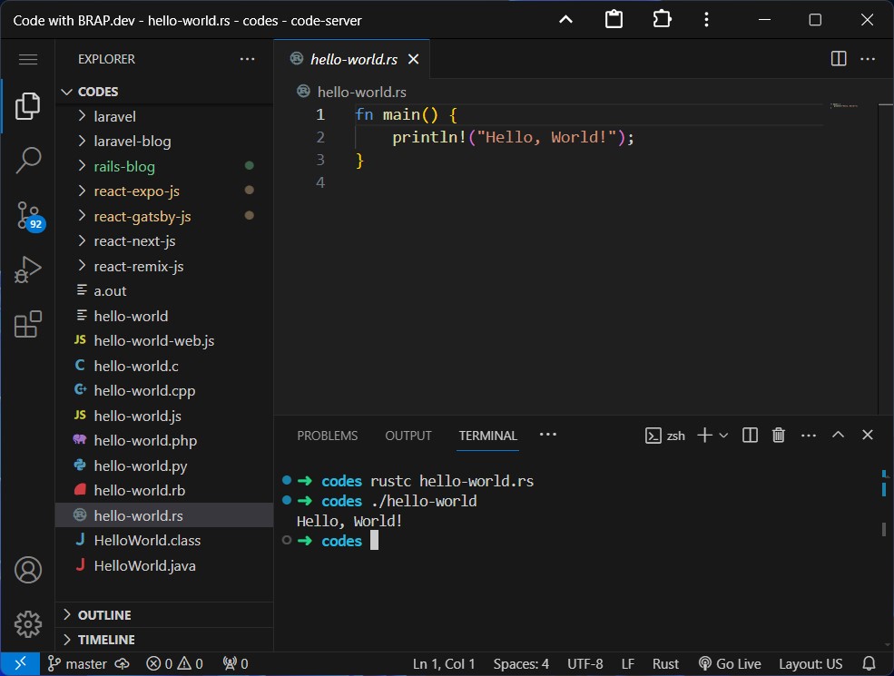 Rust in VS Code terminal