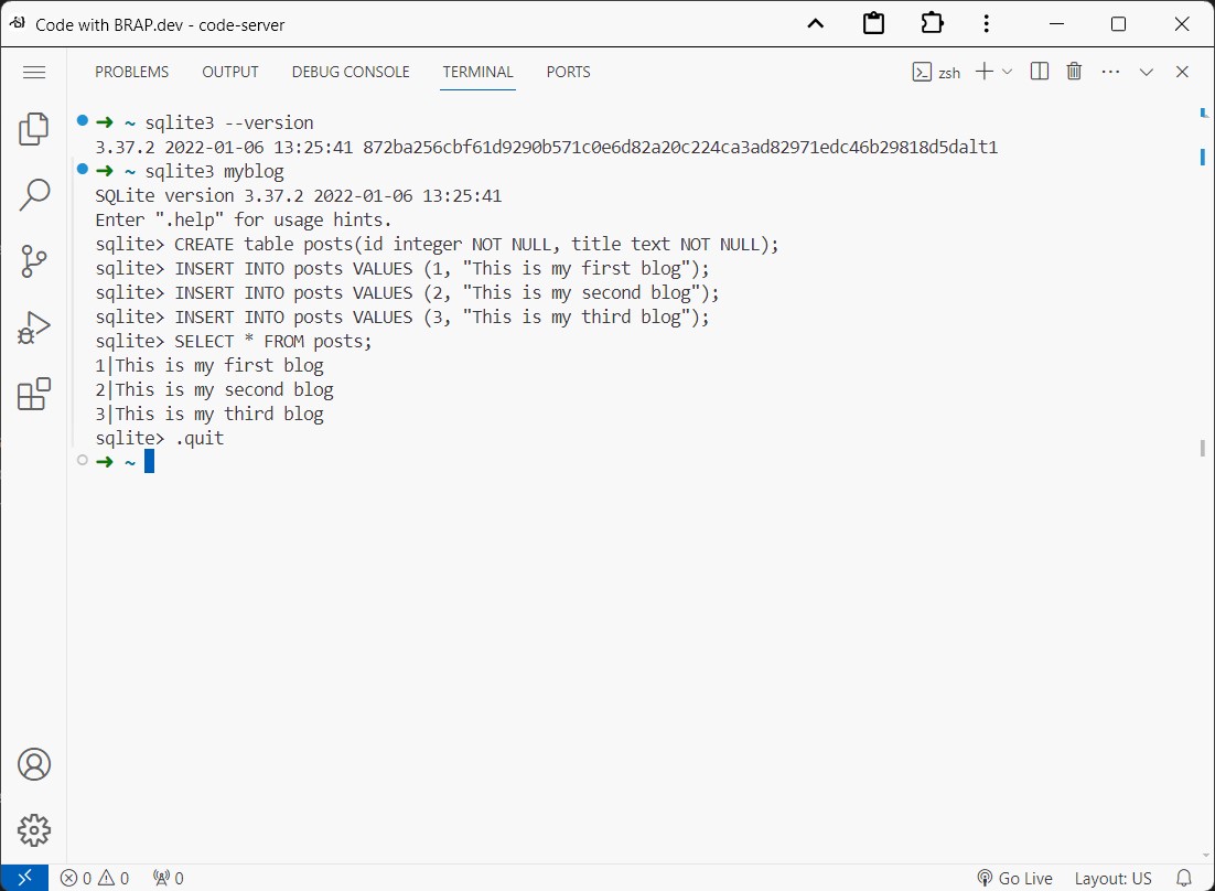 SQLite running in the VS Code terminal